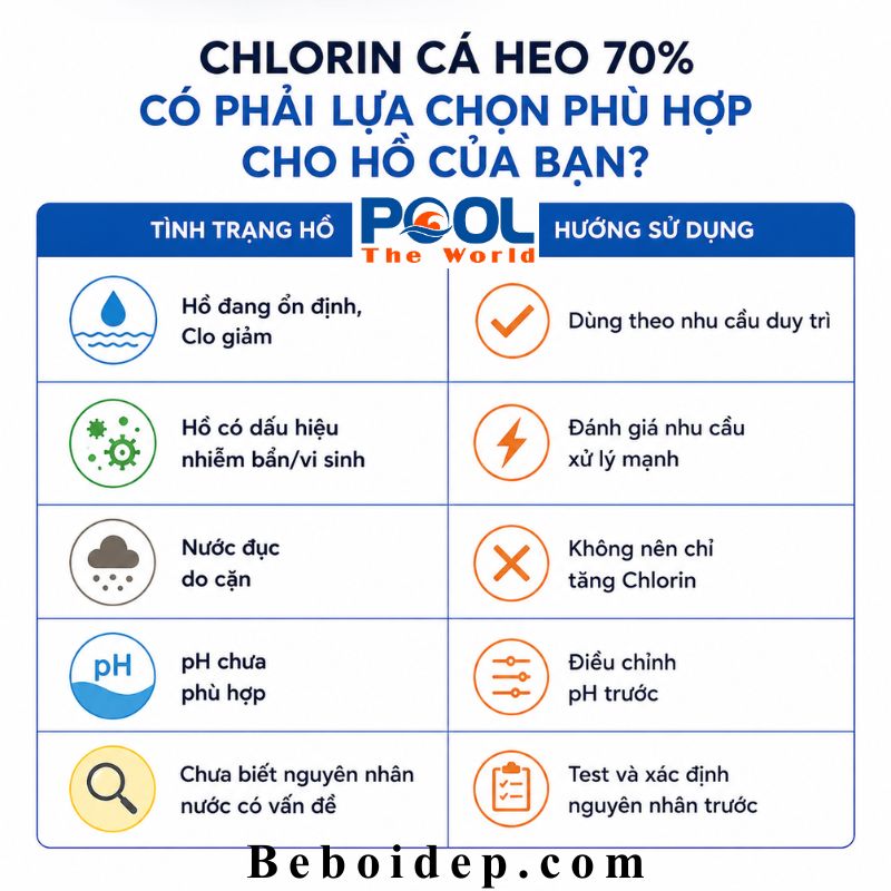 Chlorin Cá Heo 70% Dùng Để Duy Trì Clo Hay Sốc Clo? Chọn Sai Cách Có Thể Lãng Phí Hóa Chất